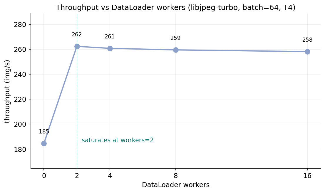Figure 5. Throughput vs DataLoader workers (libjpeg-turbo, batch 64, T4). Workers=0 is the single-threaded floor at 185 img/s. Workers=2 jumps to 262 img/s. Workers=4, 8, 16 are all within 2% of 260. Two workers is enough — past that, the GPU is the constraint again and additional workers just add scheduling overhead.